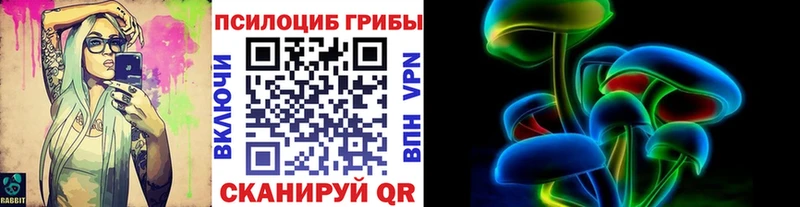 Псилоцибиновые грибы Psilocybine cubensis  Купить  Новое Девяткино 